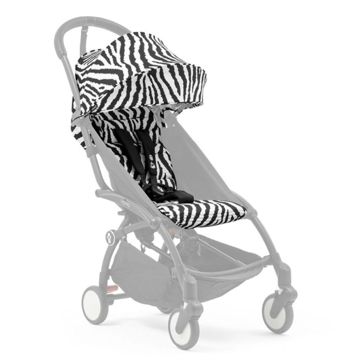 Matrix-445439_Zebra_1.jpg